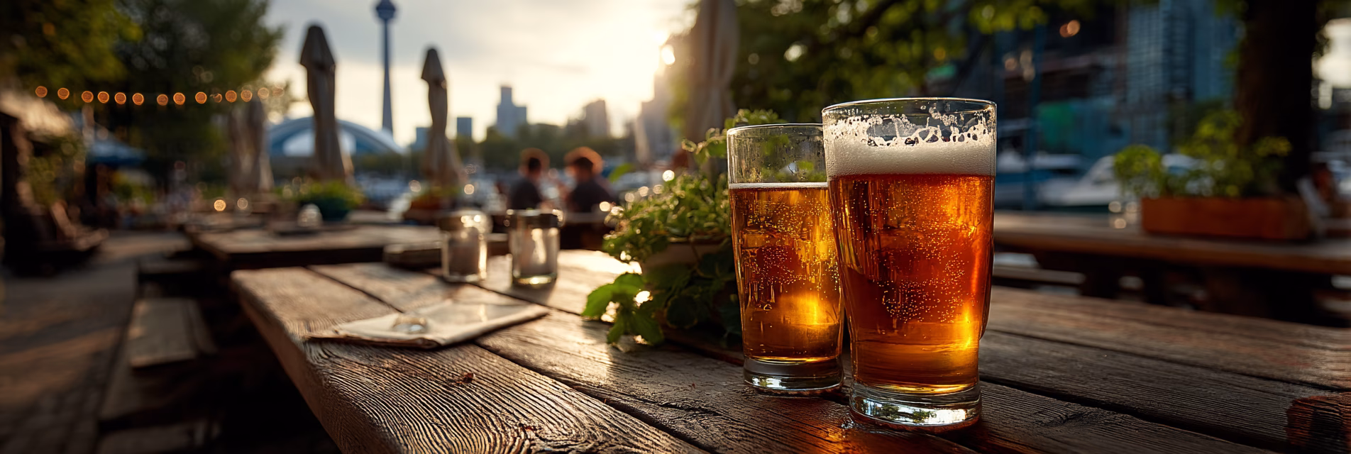 paniza brewing